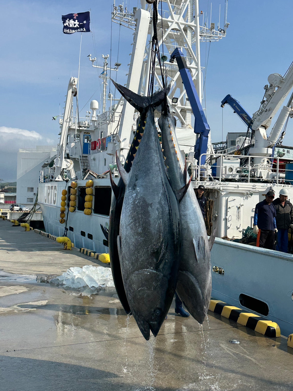 三陸産天然本マグロの切り落とし250g(冷凍)