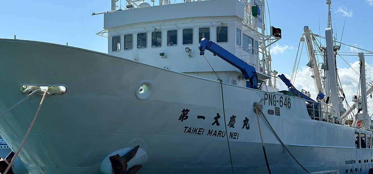 SHIZUOKA YAIZU